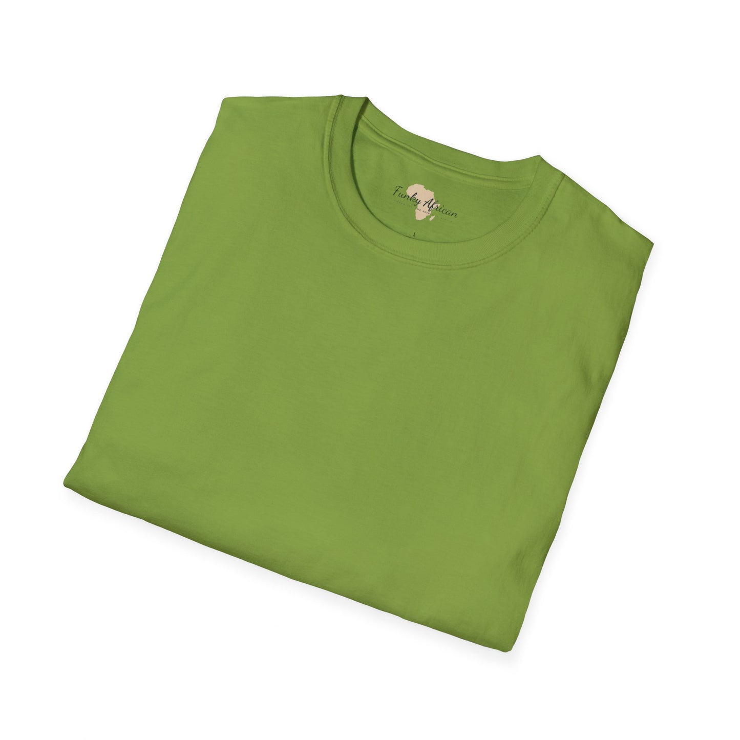 Blank unisex softstyle tee