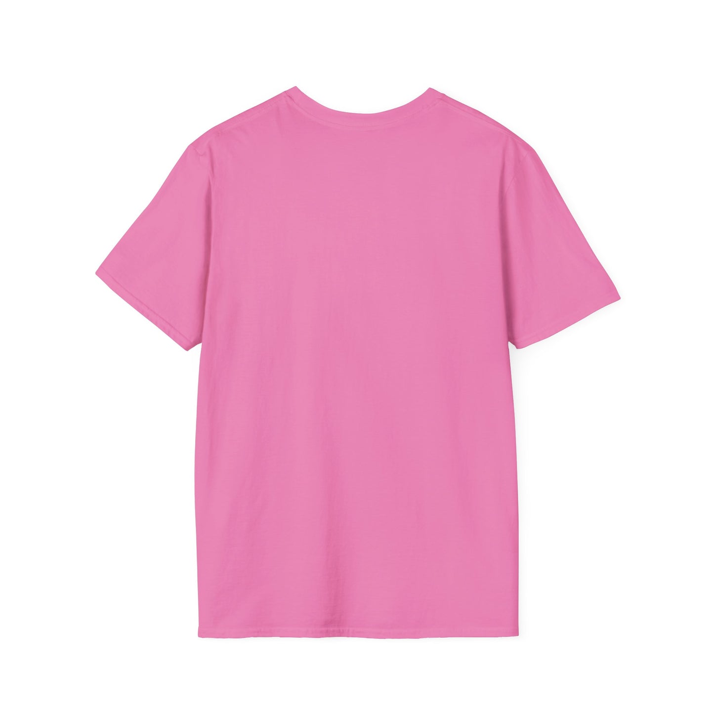 Blank unisex softstyle tee