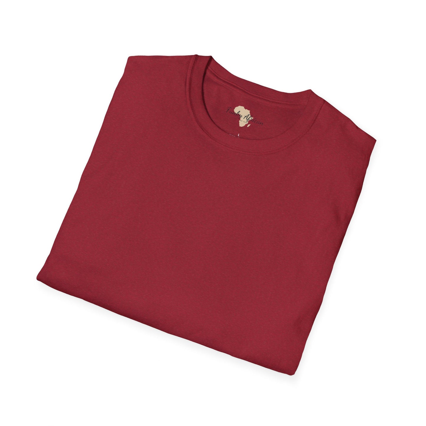 Blank unisex softstyle tee