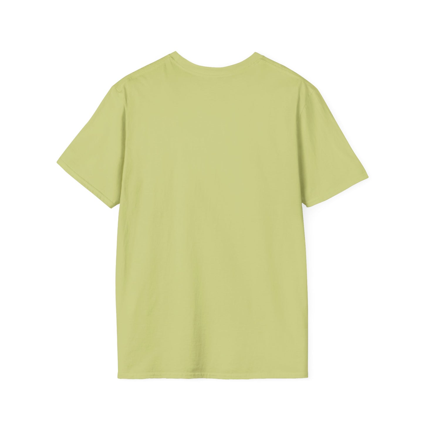 Blank unisex softstyle tee