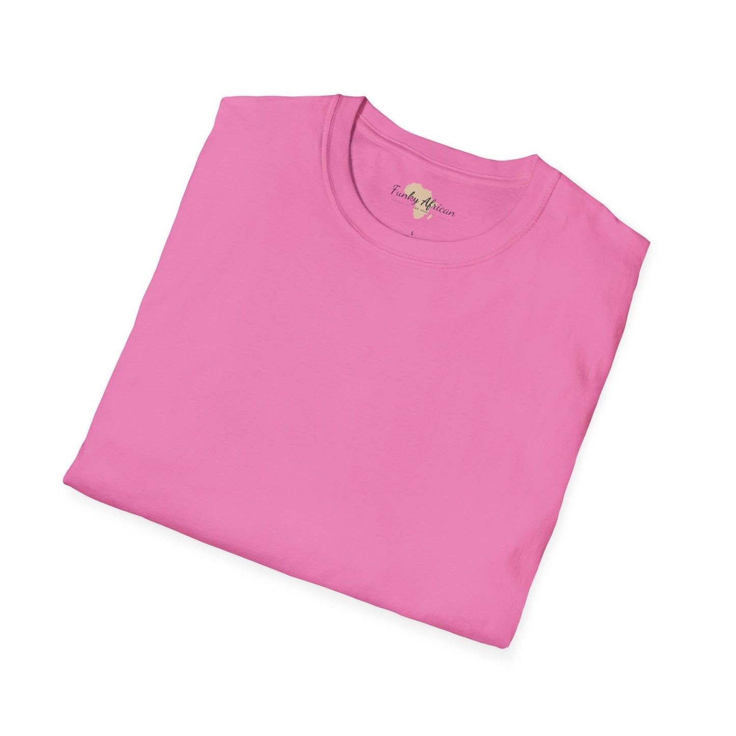 Blank unisex softstyle tee
