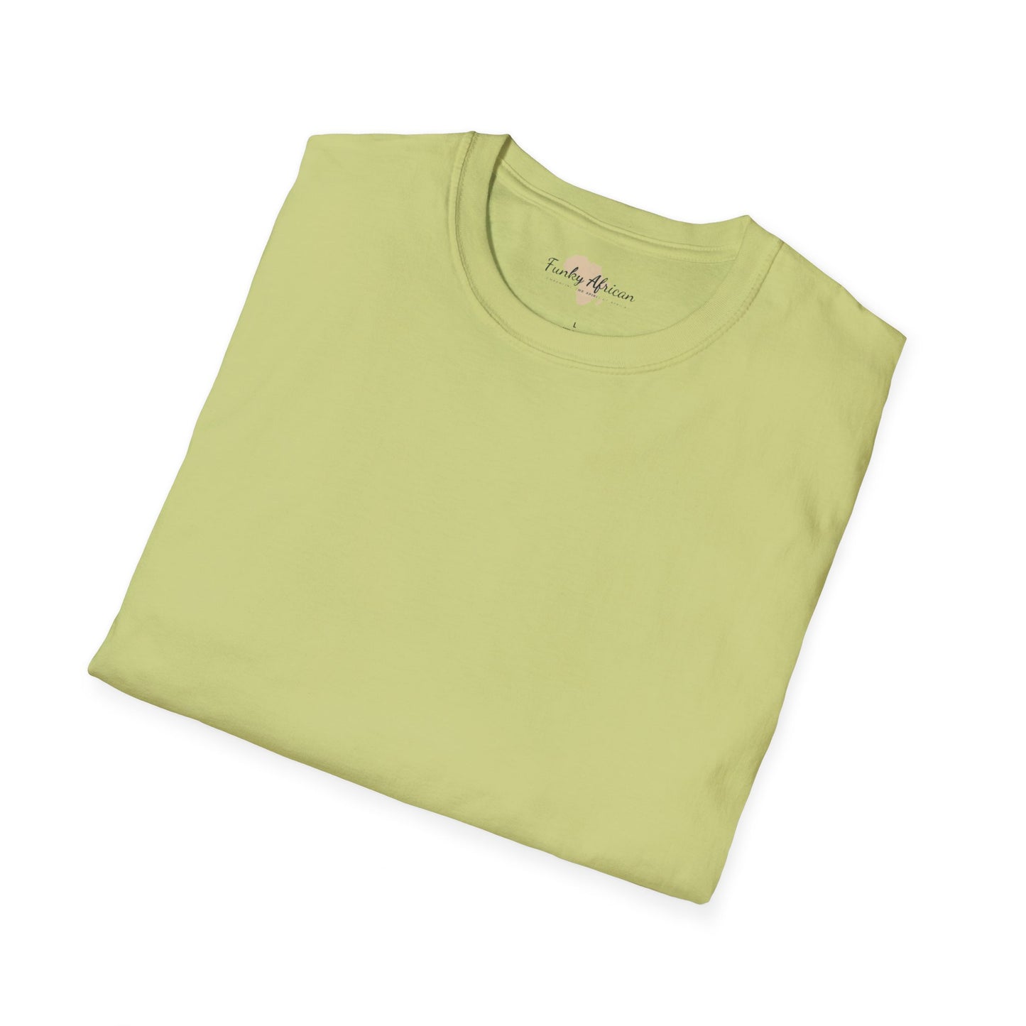 Blank unisex softstyle tee