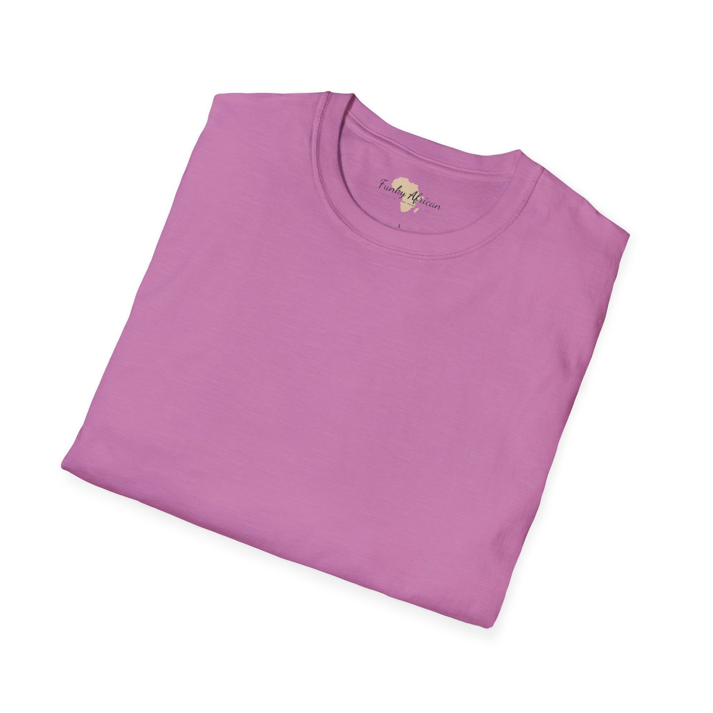 Blank unisex softstyle tee