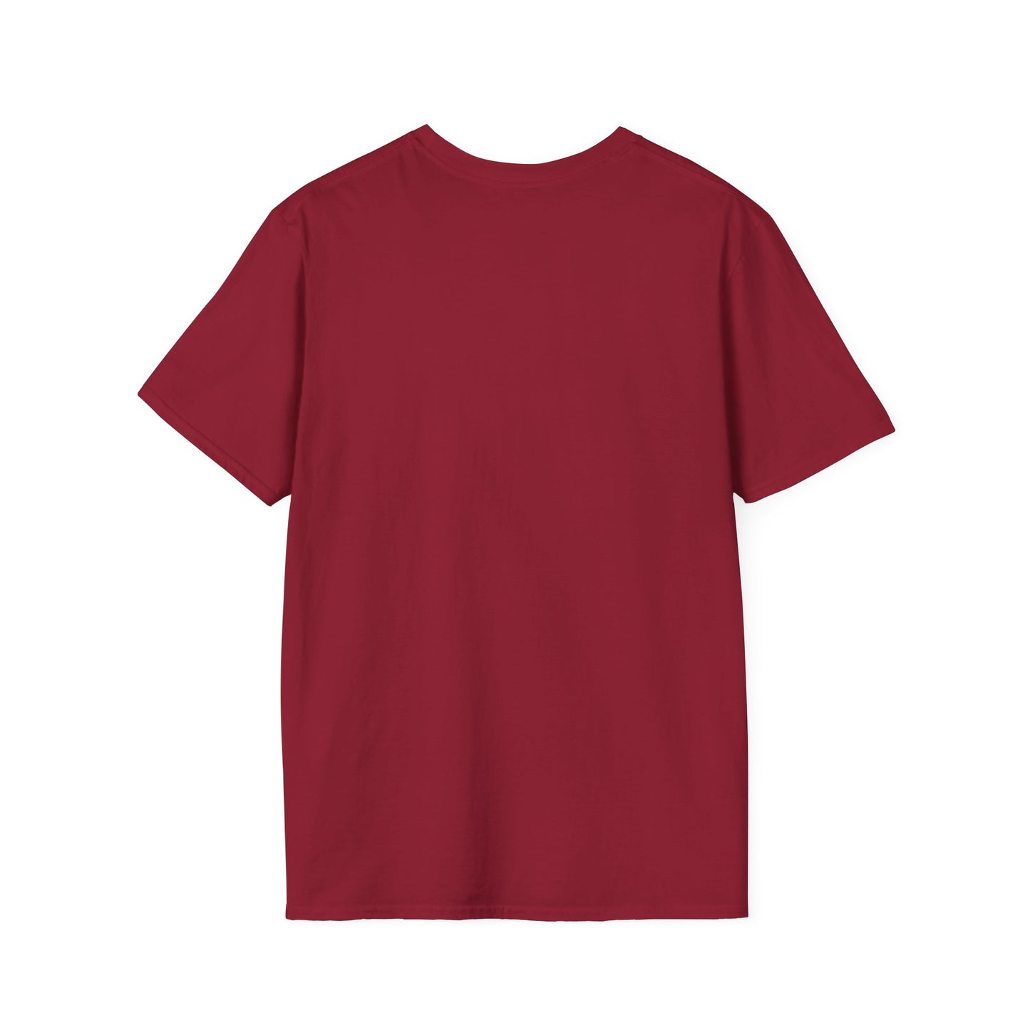 Blank unisex softstyle tee