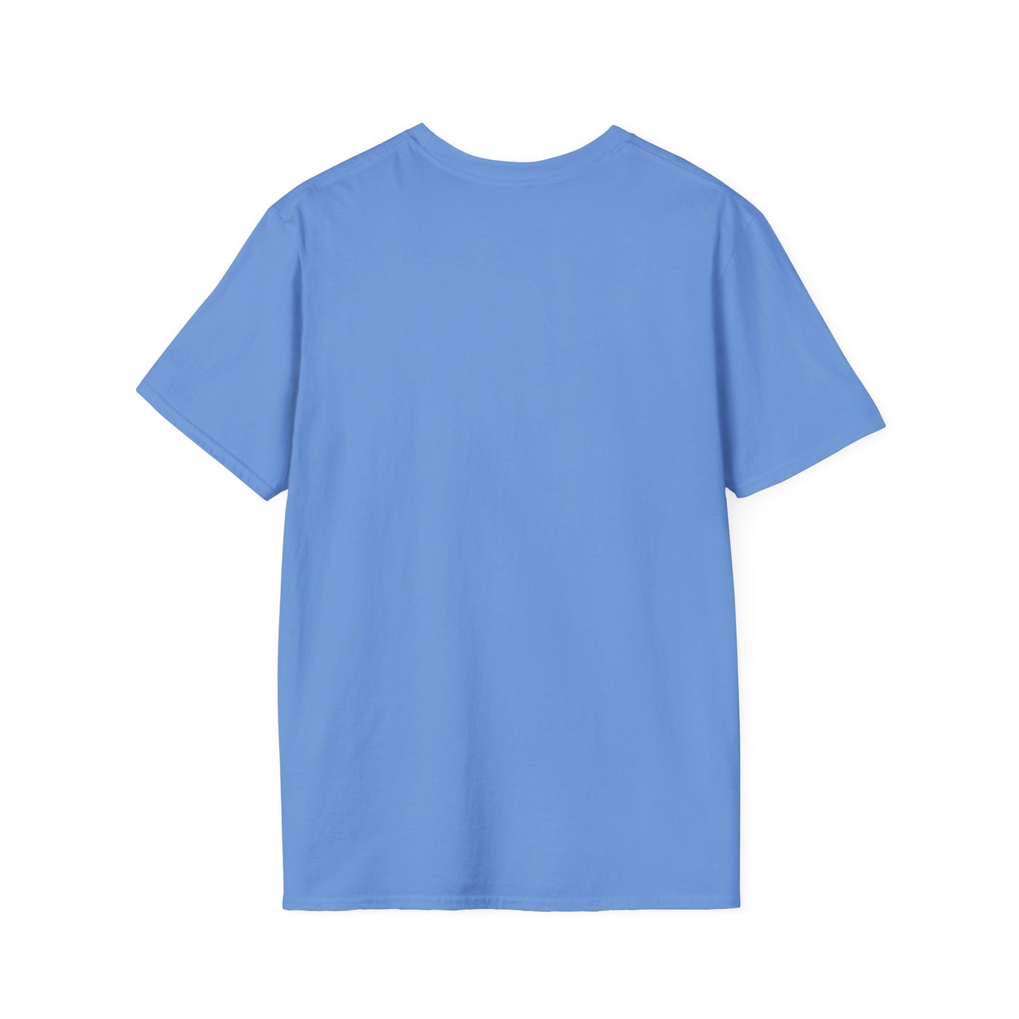 Blank unisex softstyle tee