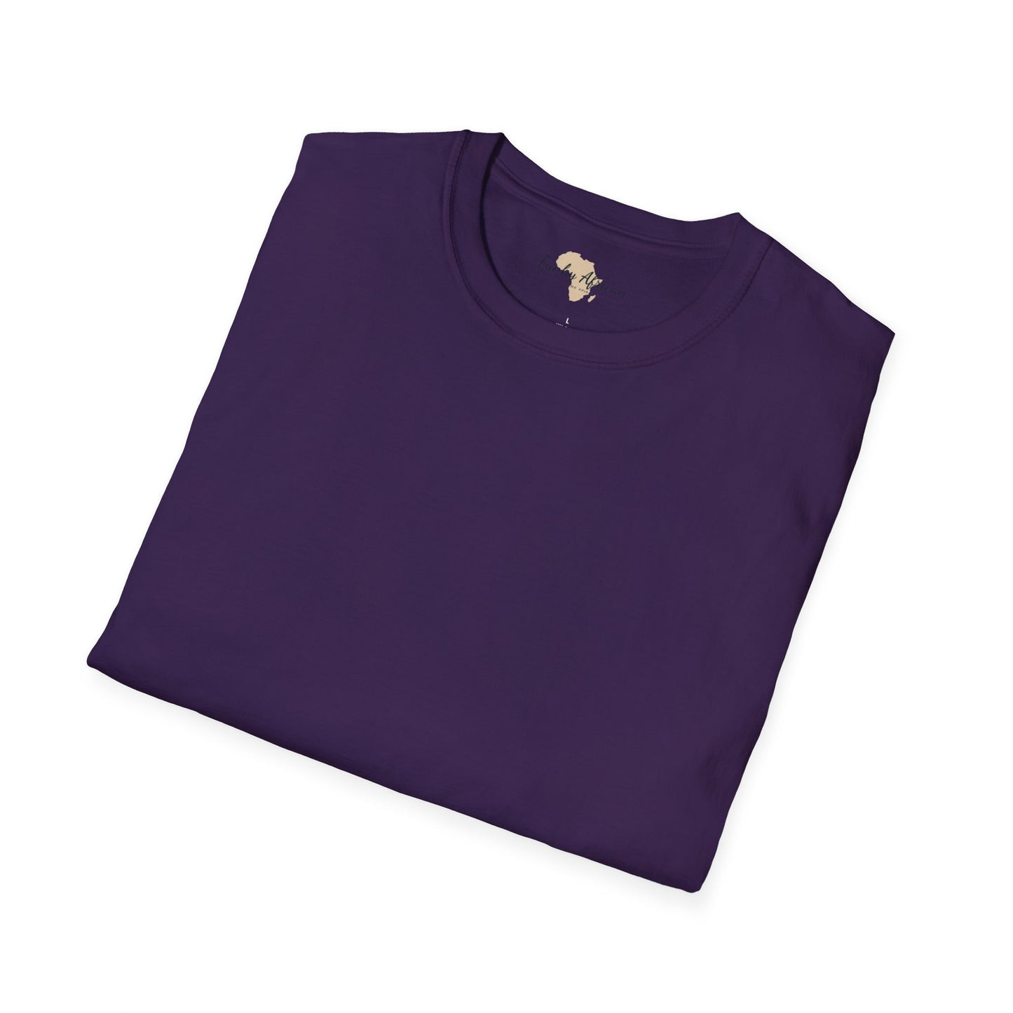 Blank unisex softstyle tee